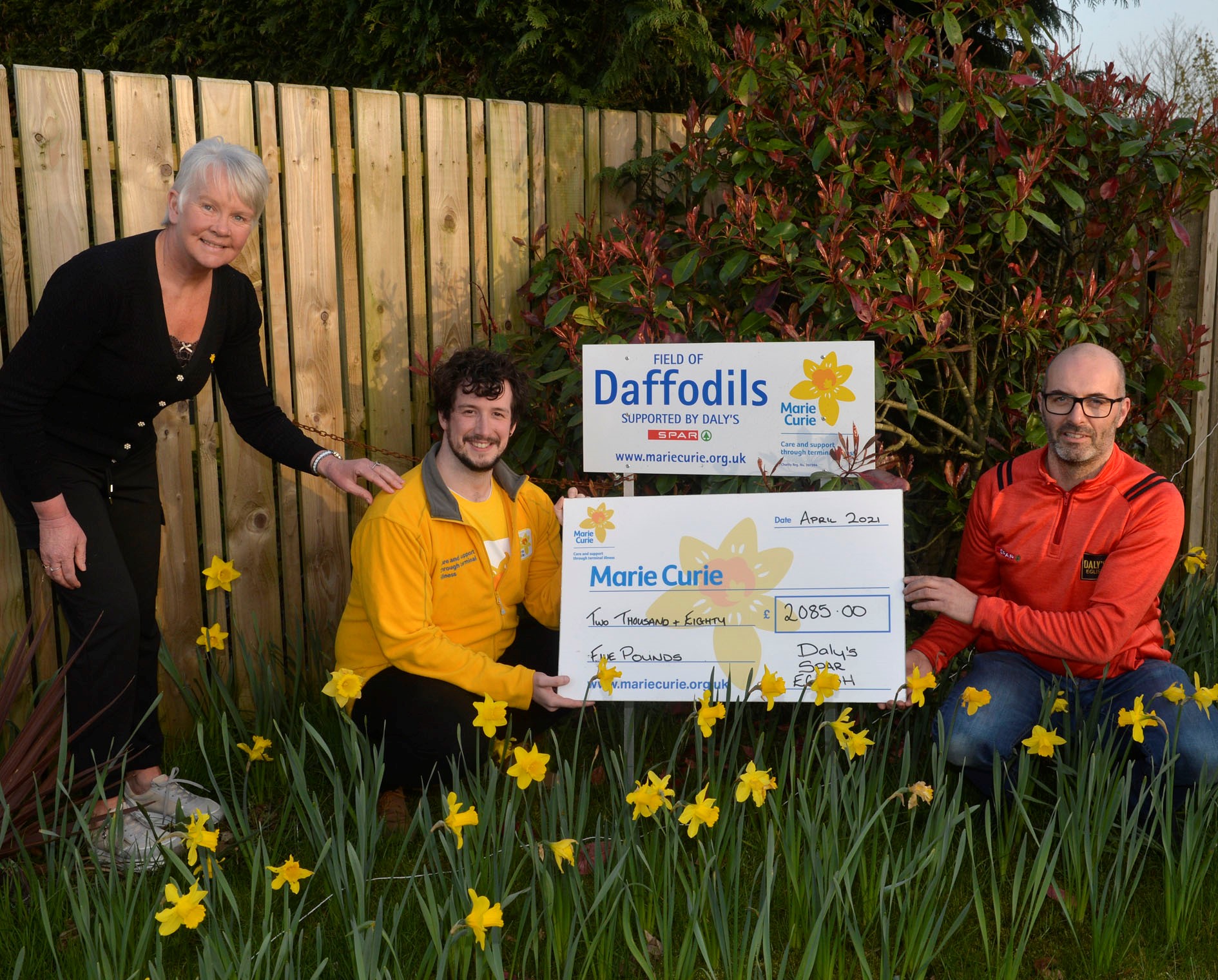 Daly's Marie Curie 4