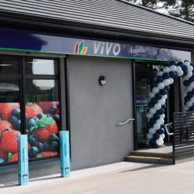 ViVO Essentials