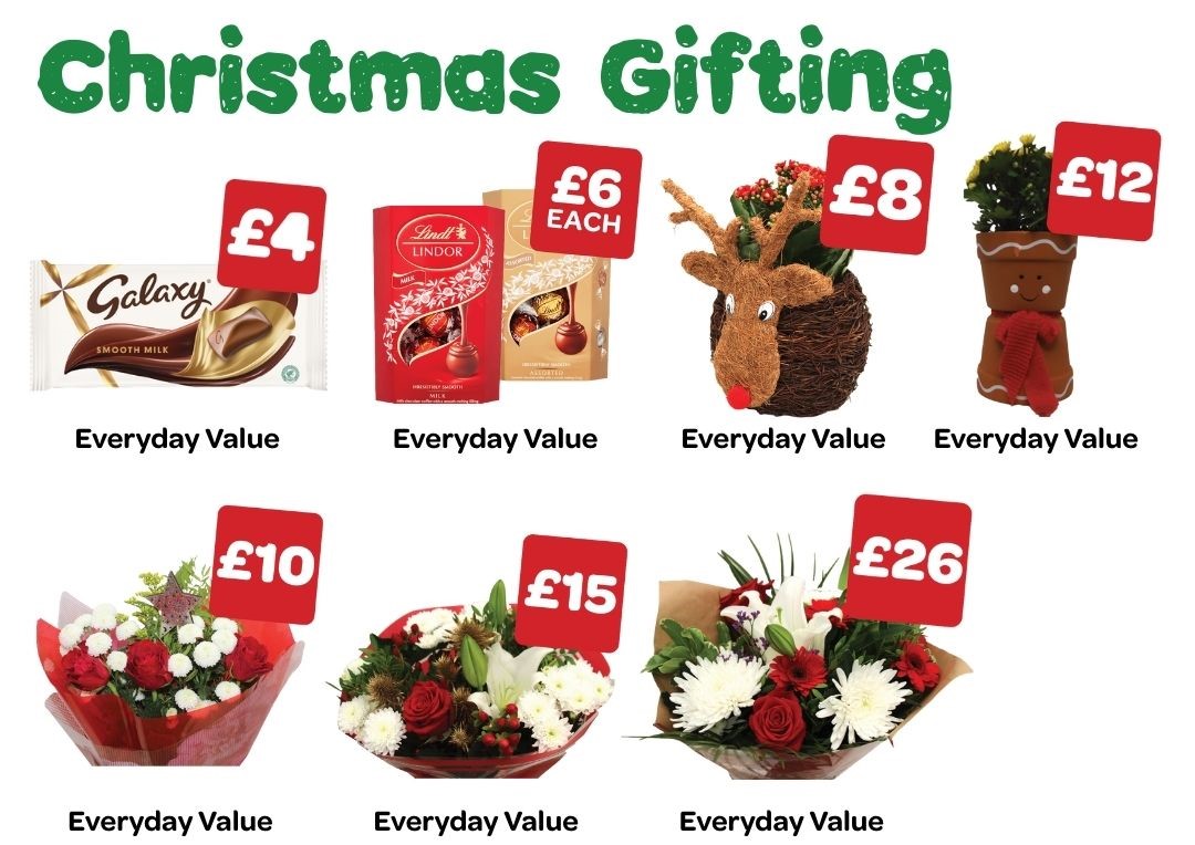 VIVOXTRA P12 WEB IMAGES - Christmas Gifting
