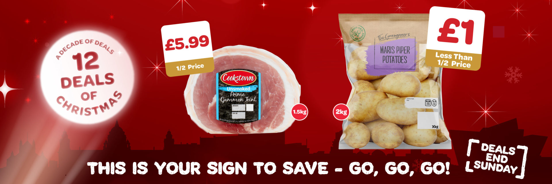 P12WK1 VIVO & VIVOXTRA