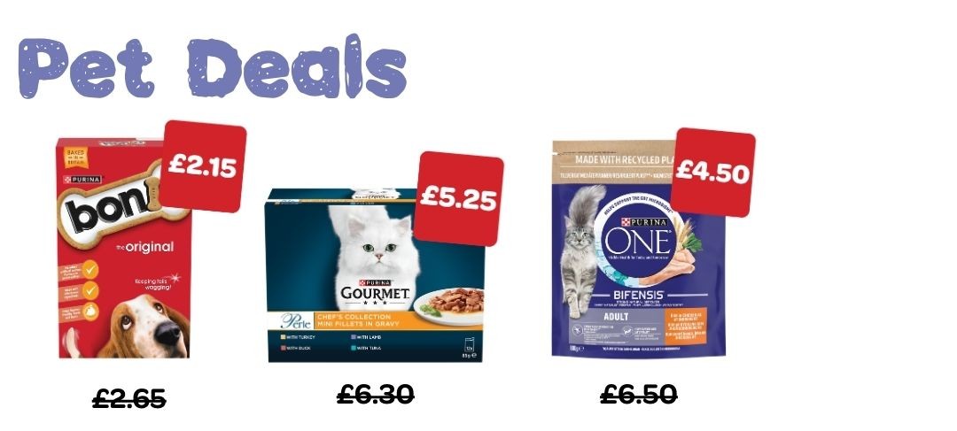 VIVOXTRA P16 WEB IMAGES 2026 - Pet Deals