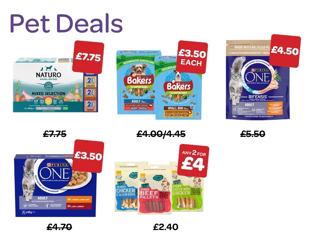 VIVOXTRA P4 WEB IMAGES 2026 - Pet Deals